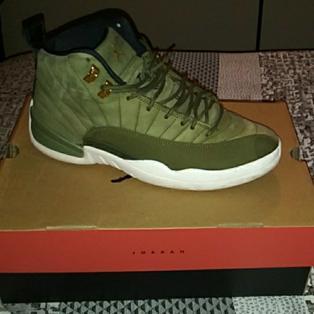 Air Jordan retro 12